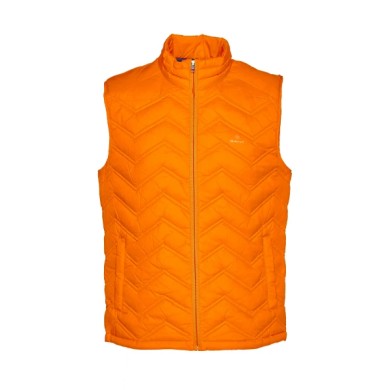 D1. THE LIGHT DOWN GILET