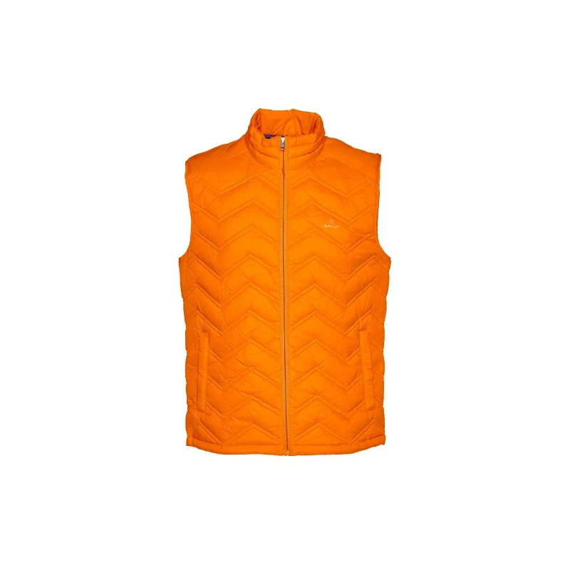 D1. THE LIGHT DOWN GILET