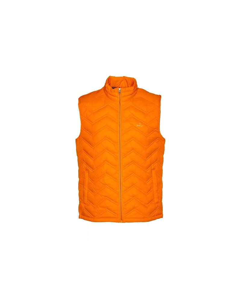 D1. THE LIGHT DOWN GILET